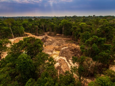 Illegal mining causes deforestation and river pollution in the Amazon rainforest near Menkragnoti Indigenous Land. - Pará, Brazil