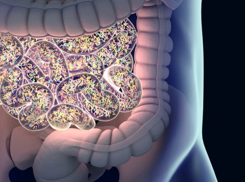 Gut bacteria , gut flora, microbiome. Bacteria inside the small intestine, concept, representation. 3D illustration. Gut bacteria , gut flora, microbiome. Bacteria inside the small intestine, concept, representation. 3D illustration.