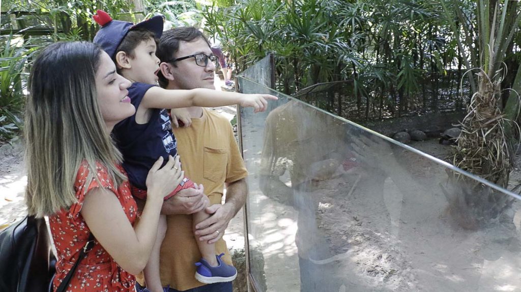 A partir de setembro, o Parque funcionará por mais tempo para visitação pública. Foto: Celso Rodrigues/ Diário do Pará.