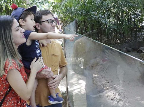 A partir de setembro, o Parque funcionará por mais tempo para visitação pública. Foto: Celso Rodrigues/ Diário do Pará.