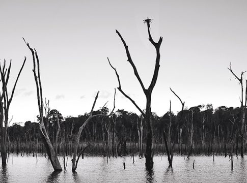 “O
Reflexo do Lago” estreia no cine Líbero seguido de debate