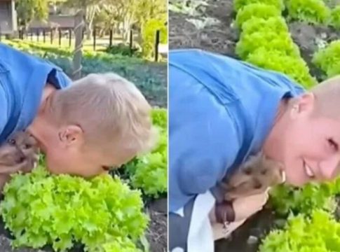  Xuxa posta vídeo comendo alface diretamente do pé