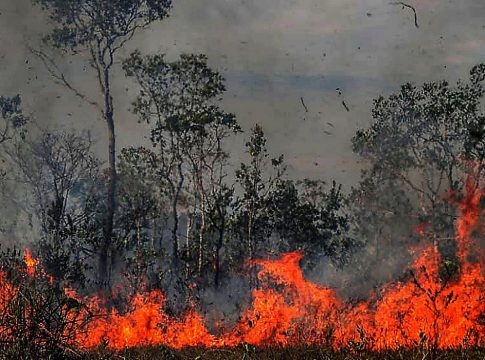 Só 3 estados protocolaram projeto no Fundo Amazônia, que tem R$ 405 mi para combate a incêndios Foto: Divulgação