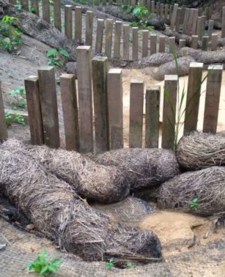 Lama da Alcoa já aterrou três nascentes de rio no Pará