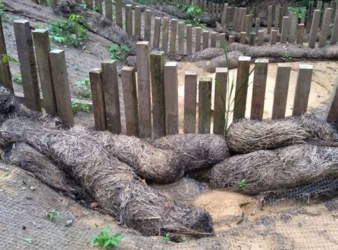 Lama da Alcoa já aterrou três nascentes de rio no Pará