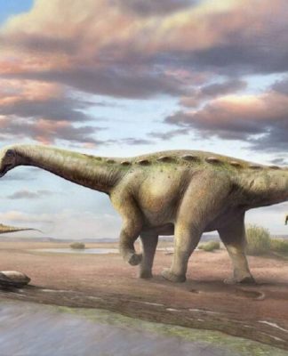 Dinossauro pescoçudo 'anão' é achado em cidade paulista