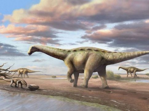 Dinossauro pescoçudo 'anão' é achado em cidade paulista