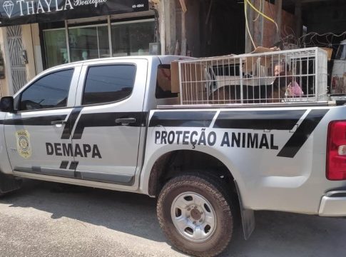 Foto: Divulgação/PCPA