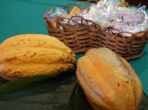 Qualidade do chocolate paraense será destaque em festival
