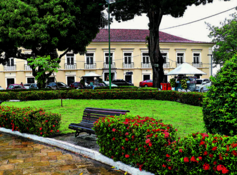 Dia da árvore: conheça a história das mangueiras em Belém