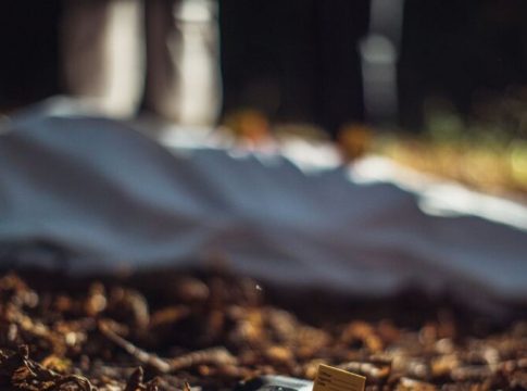Corpo em decomposição é encontrado por moradores em Belém