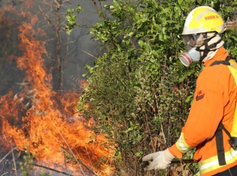 Focos de incêndio destroem Parque Nacional de Brasília