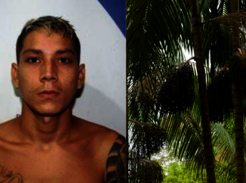 Apanhador de açaí e é encontrado morto após sair de casa 