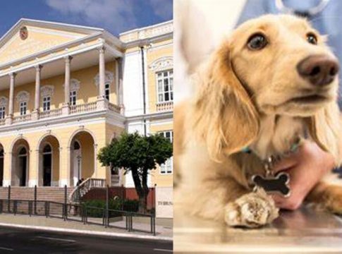 Bonna destaca a nova presidente do TJ e hospital para pets