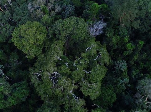 Ações de Bolsonaro na Amazônia são rejeitadas