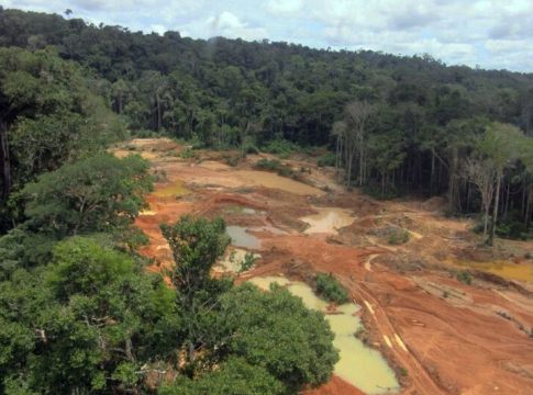 PF e Ibama descobrem garimpo ilegal em Altamira