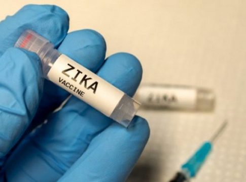 Zika: vacina é positiva em ratos e diminui microcefalia 