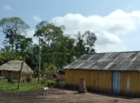 Vídeo: indígena mata outro após discussão em tribo no Pará