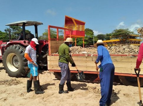 Praias com peixes mortos começam a ser limpas no Marajó