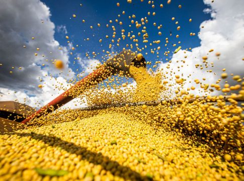 Medida impacta cadeia de milho e carnes com benefício para os consumidores finais e incentiva aumento produção de biocombustível