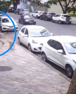 Prédio de luxo: funcionária agredida quando limpava calçada