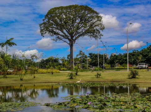 Espaços como o Parque do Utinga estarão funcionando. Foto: Ag. Pará

