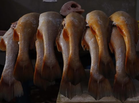 Feira do Pescado deste ano será realizada nos dias 05 e 06 de abril. Foto: Wagner Santana/Diário do Pará.