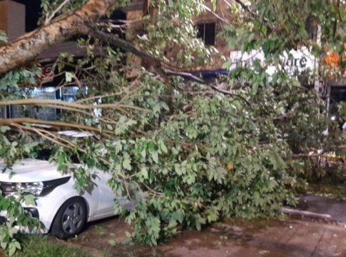 Vídeo: árvore cai e atinge dois carros em Belém