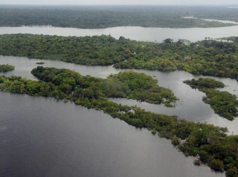 STF forma maioria para que governo federal reative Fundo Amazônia