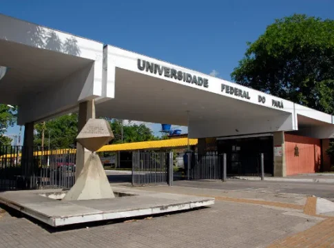 No total, foram classificados(as) 396 estudantes, sendo 66 indígenas e 330 quilombolas. Foto: Divulgação