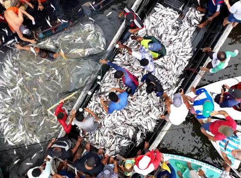 Para ter direito as parcelas, o pescador precisa declarar que não dispôs de outra fonte de renda durante o ciclo 2015/2016. Foto: Agência Pará