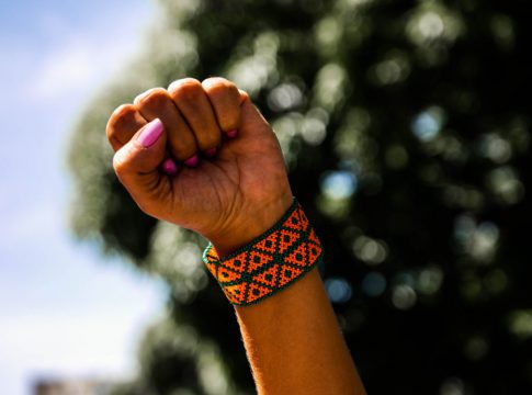 A marcha celebra o Dia Internacional da Mulher Negra Latino-Americana e Caribenha, além do Dia Nacional e Estadual de Tereza de Benguela e da Mulher Negra.