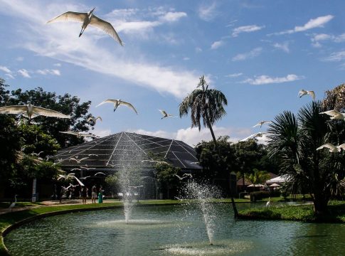 Alguns espaços funcionarão normalmente neste feriado. Foto: Agência Pará