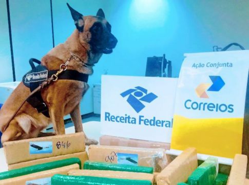 Ao todo, 18 kg de droga foram encontrados em encomendas. Foto: Receita Federal/Divulgação