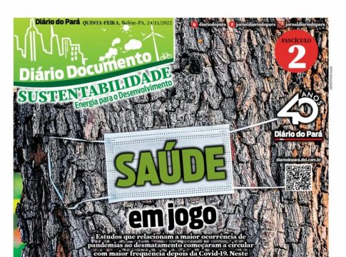 'DIÁRIO SUSTENTABILIDADE': fascículo destaca os riscos no desmatamento irregular. Confira!