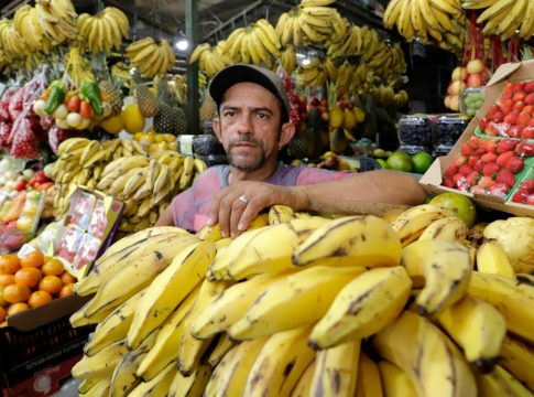 Belém tem o segundo maior preço da banana entre os valores praticados no Norte e Nordeste. Foto: Alberto Bitar/Diário do Pará