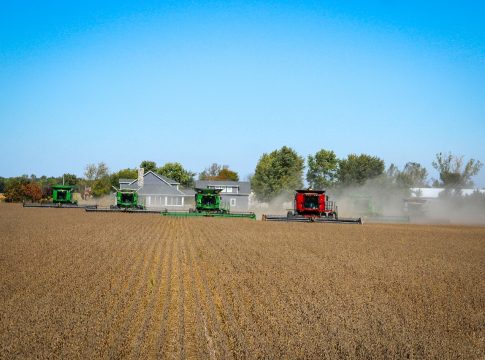 Com valor recorde, as vendas externas brasileiras de produtos do agronegócio foram de US$ 15,24 bilhões em abril de 2024, um valor 3,9% superior na comparação com os US$ 14,67 bilhões exportados no mesmo mês de 2023
Foto: Divulgação