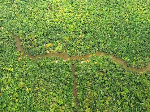Pará apresenta ações na COP27 no Egito