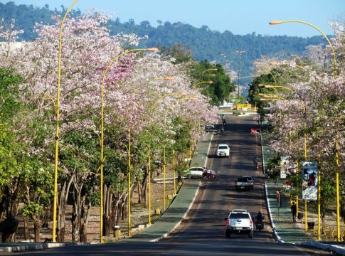 Os interessados poderão se inscrever até as 23h59 do dia 9 de novembro de 2022. Foto: Agência Pará