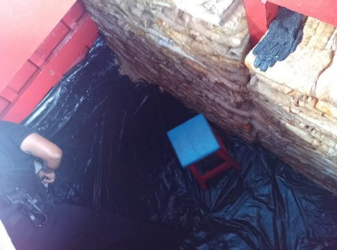 Somente a carga de peixe apreendida está avaliada em R$ 400 mil. Foto: Divulgação