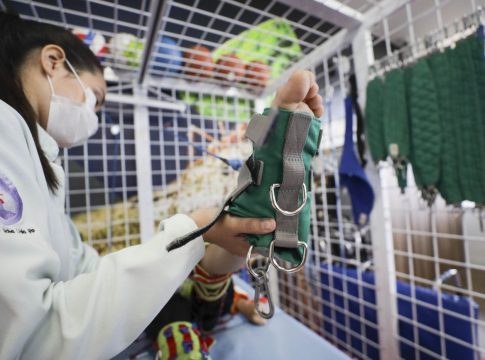 A instituição que atende pessoas com deficiência recebe currículos apenas por e-mail, até o dia 31 de janeiro. Foto: Agência Pará