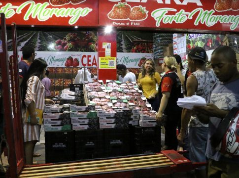Varejão de Natal da Ceasa: os melhores preços e variedade de frutas frescas, bacalhau e temperos para sua ceia de fim de ano.