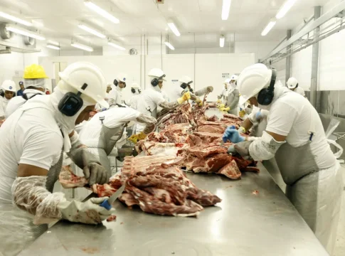 Supermercados clientes desses frigoríficos serão alertados de que podem ser responsabilizados como empresas que contribuem para o desmate. Foto: Divulgação