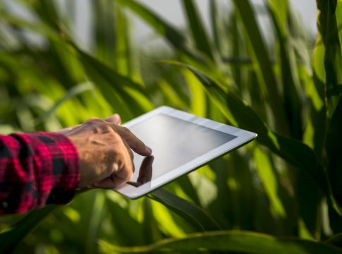 Você Empreendedor: O agronegócio precisa de você!