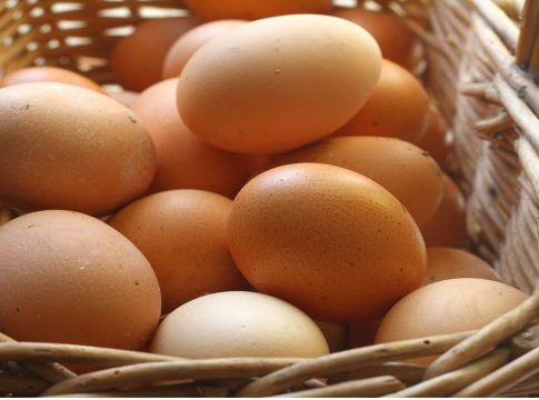 A dúzia de ovos chega a custar R$ 11 em Belém. Foto: Divulgação