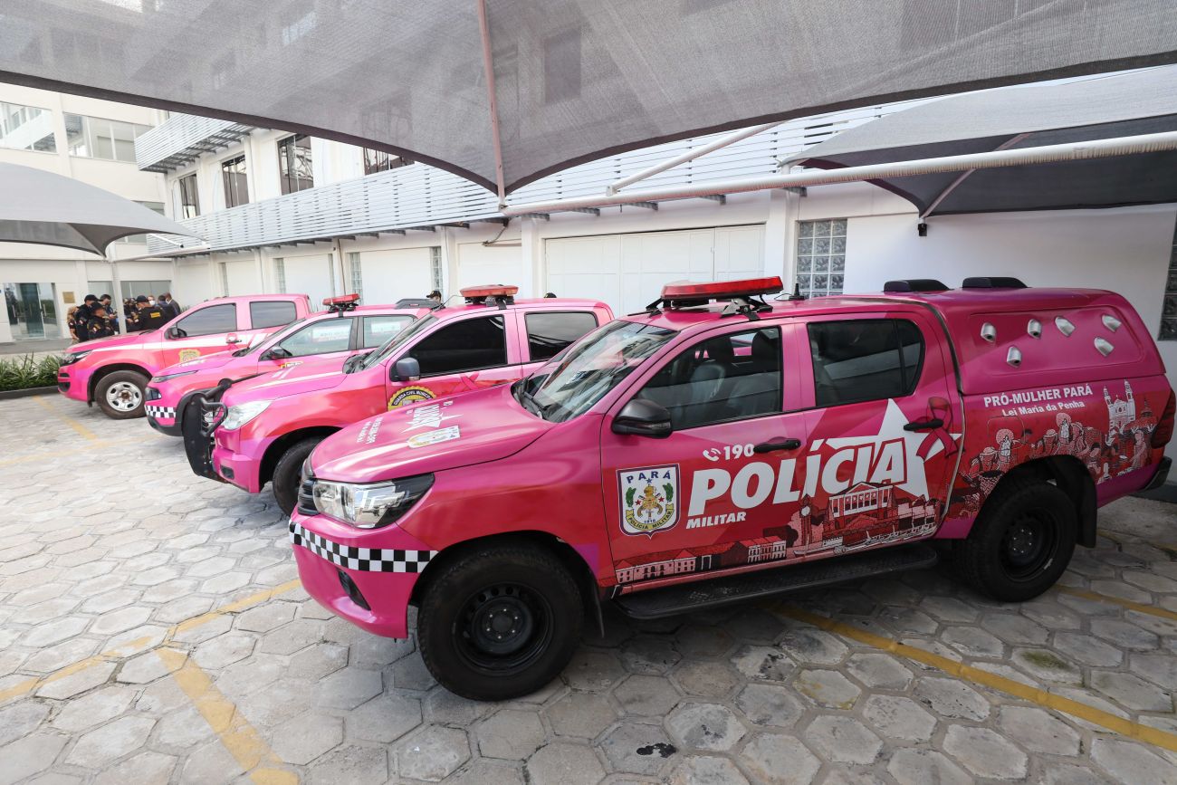 O Pró-Mulher Pará completa um ano e já realizou mais de 2 mil atendimentos a vítimas de violência doméstica, em 10 localidades do Estado. Foto: Agência Pará