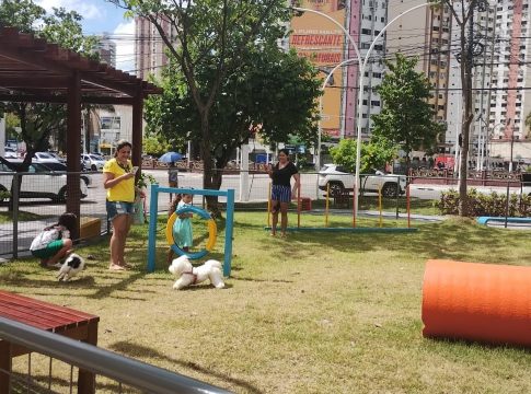 O novo espaço de cultura e lazer é a primeira praça pet da cidade com rede Wi-fi gratuita que suporta até 1.000 pessoas conectadas. Foto: Agência Belém