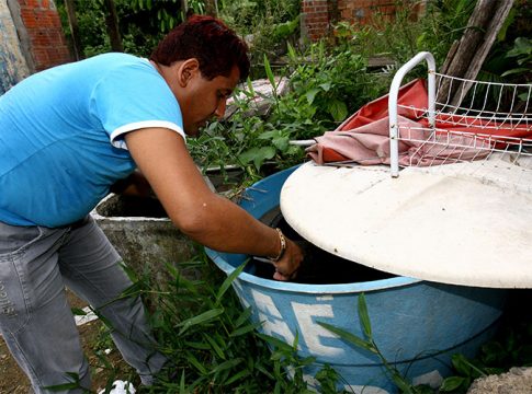 Casos de chikungunya aumentam 78% em 2022 e incidência sobe a partir de janeiro. Foto: Divulgação