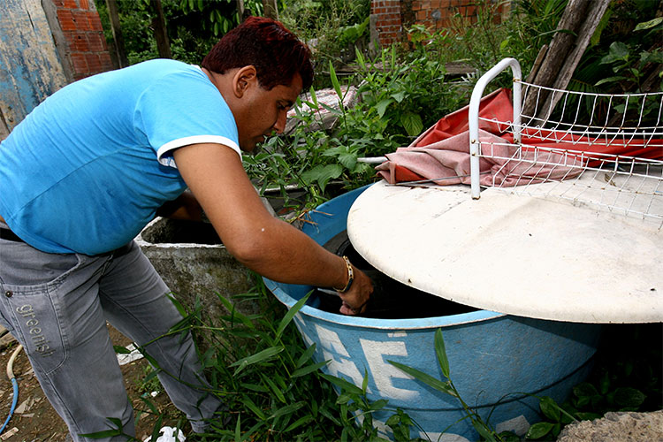 Casos de chikungunya aumentam 78% em 2022 e incidência sobe a partir de janeiro. Foto: Divulgação