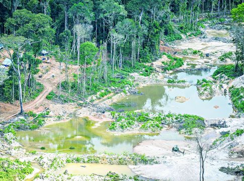 Segundo monitoramento e denúncias, as etnias Munduruku e Kayapó enfrentam invasões, degradação e contaminação em terras federais. Foto: Divulgação